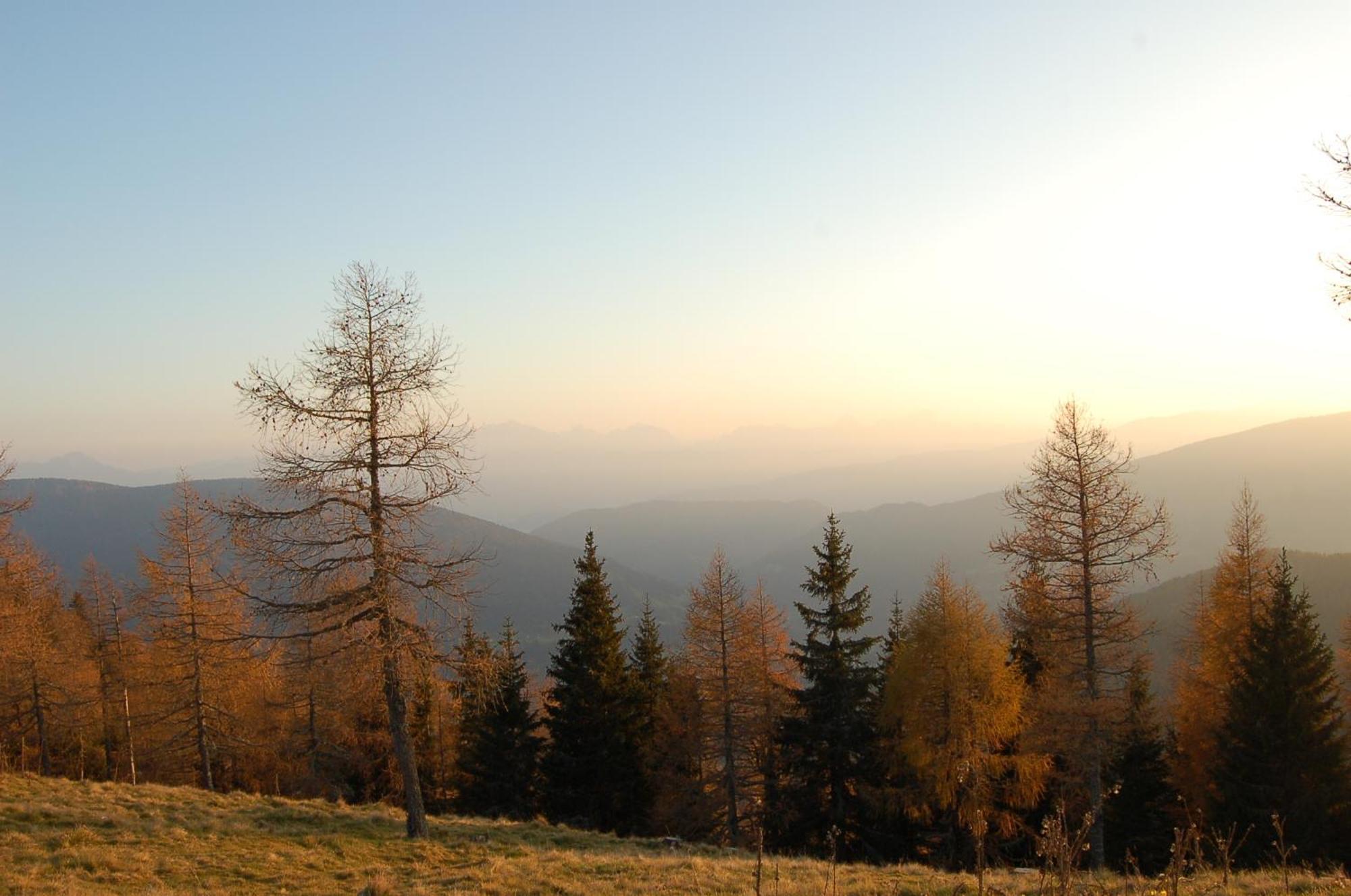Walcherhof Арриах Экстерьер фото