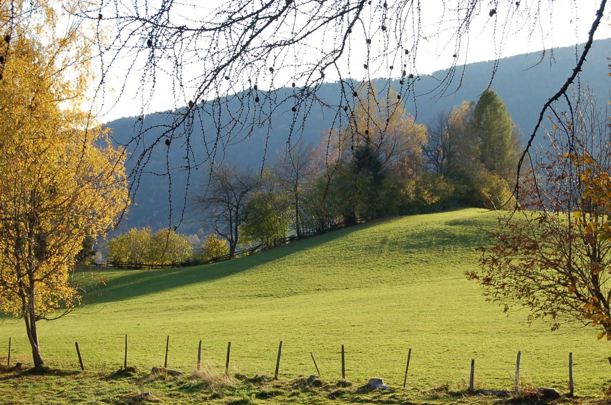 Walcherhof Арриах Экстерьер фото