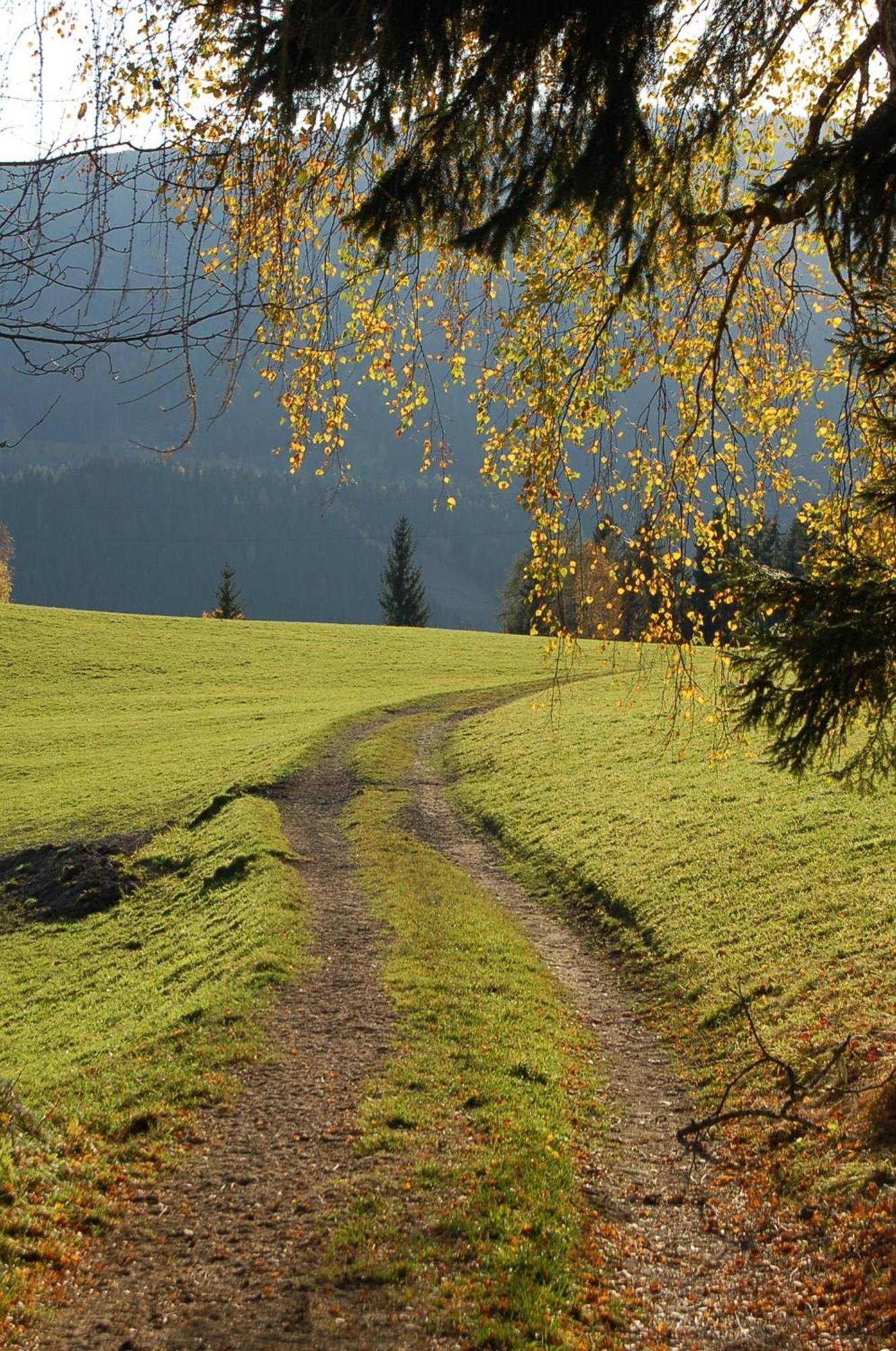 Walcherhof Арриах Экстерьер фото